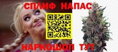 Альфа ПВП Будённовск