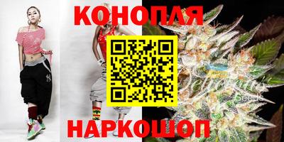 Альфа ПВП Будённовск
