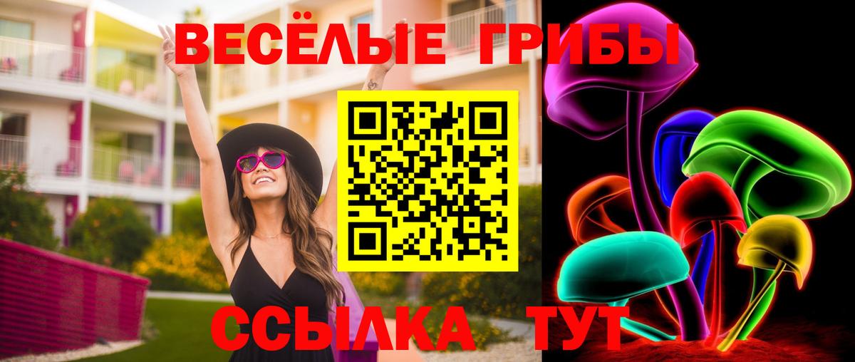 дарнет шоп  Галлюциногенные грибы Cubensis  Вход с VPN  Псилоцибиновые грибы ЛСД  Озёрск 